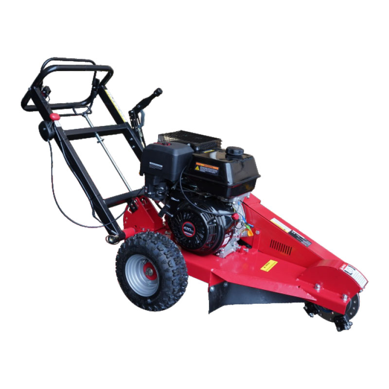 CONRECTUS Truncus MOLARIS XZ0211 