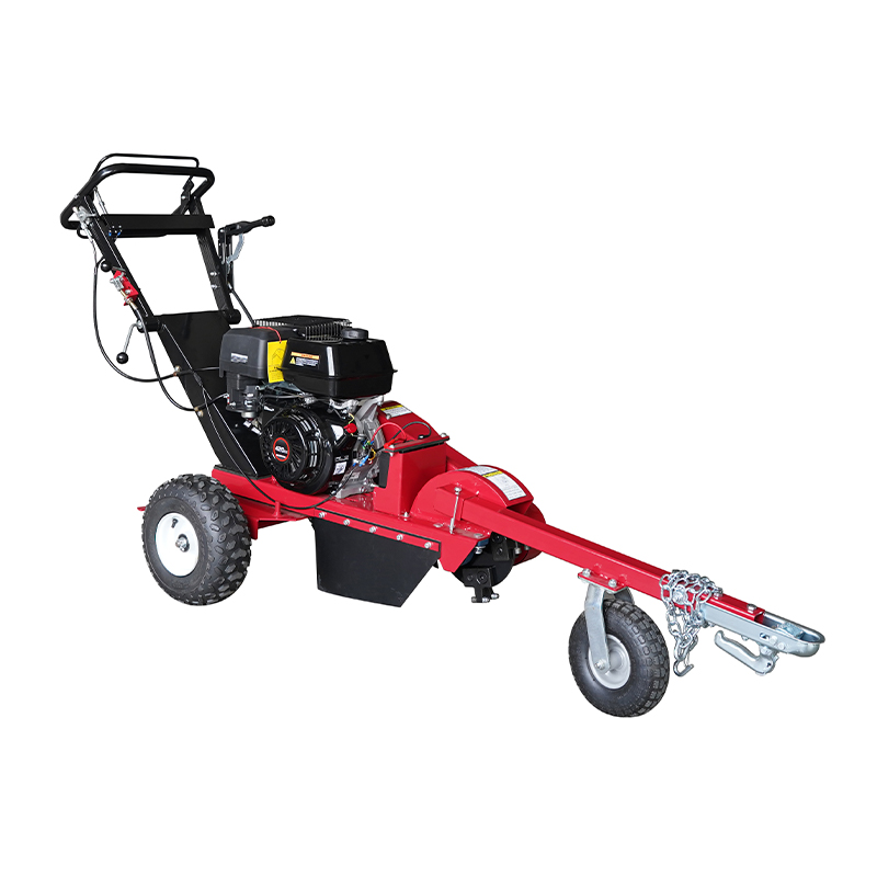 XZ0400 Truncus MOLARIS